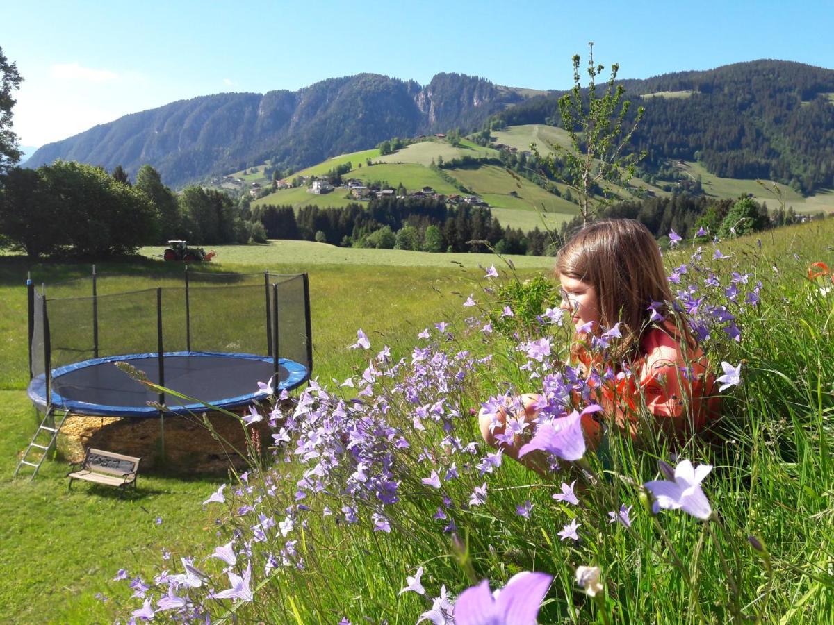 Appartements Alpenschloessl โอเบอเอา ภายนอก รูปภาพ